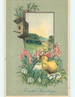 Divided-Back Easter CHICK LOOKS UP AT A WOODEN BIRD HOUSE : make an offer o6415