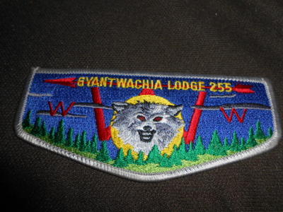 Gyantwachia 255 s18 flap OAE