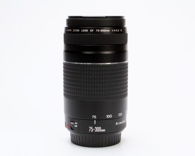 Canon EF 75-300mm f/4-5.6 III Telephoto Zoom Lens