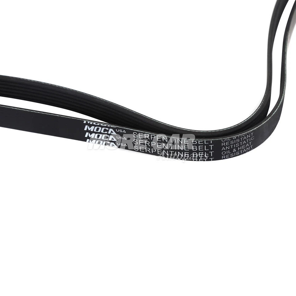 Cinturón serpentino EPDM 6PK2025 apto para Chevrolet Camaro Corvette 1998-2015 Foto 4 de 4