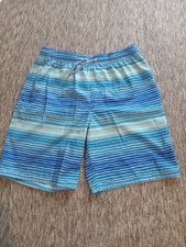 Boys Youth Size 14/16 Blue Striped Swim Trunks With Liner