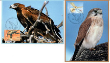 Australia 2001 Set of 4 Maximum Cards Centenary of Birds Australia Birds of Prey