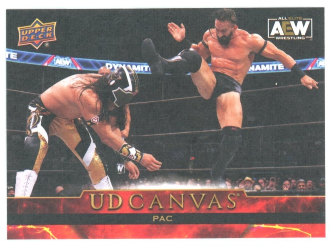 2024 PAC UPPER DECK AEW WRESTLING #C22 UD CANVAS INSERT!!