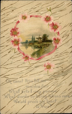 #ad Vintage Floral Windmill Postcard Rockford Illinois Used $3.99