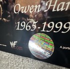 Set of 2 Owen Hart 8x10 Photos WWF WWE VERY RARE — photo 2
