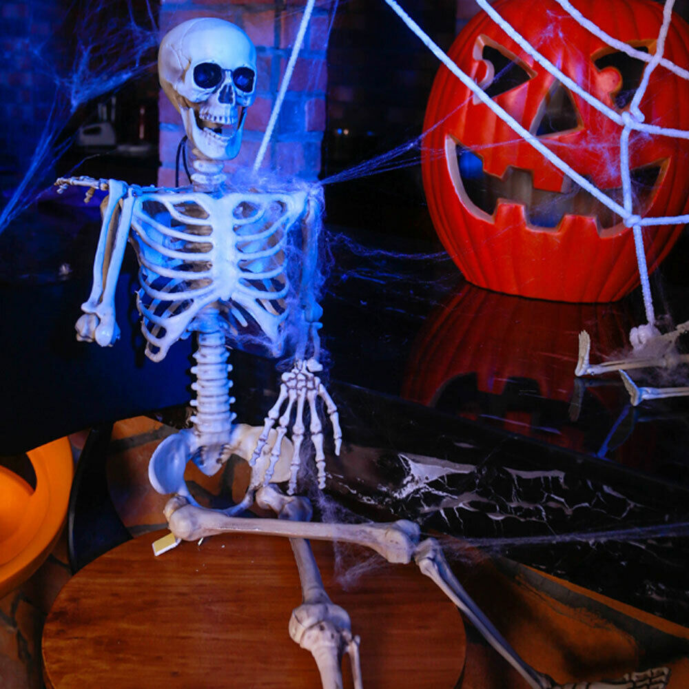 170cm Human Skeleton Life Size Skull Full Body Anatomy Model Halloween Medical — image 3