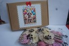 Bild 10 von 10