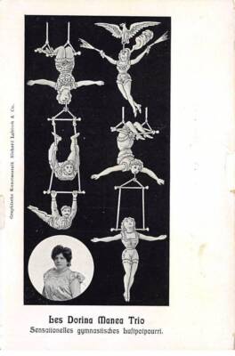Zirkus - Nr. 84214 - Les Dorina Manea Trio - Sensationelles Gymnastic buftp