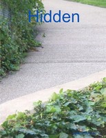 Selena Millman | Hidden | Taschenbuch | Englisch (2011) | Lulu Press, Inc.