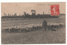 RARE POSTCARD 28 - IN BEAUCE - SHEPHERD AND HIS FLOCK - WRITTEN IN 1906 (EURE-&-LOIR)
