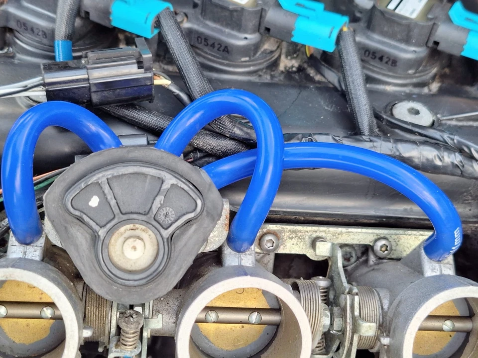 Tubos de vacío para Triumph Tiger 955i (Girlie) 2001 - 2006 Foto 3 de 4