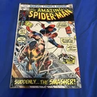 The Amazing Spider-Man #116 (Marvel Comics January 1973)