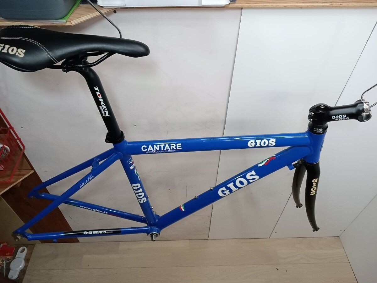 Gios Carbon Fork Frame Set 700c Road Bike ST 460mm TT 500mm | eBay