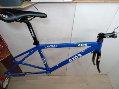 Gios Carbon Fork Frame Set 700c Road Bike ST 460mm TT 500mm | eBay