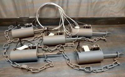 5 Powder Coated  Southern Snares DP Dog Proof FREE EXTENSIONS Raccoon Trapping