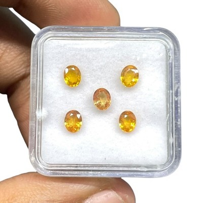 5 Stück Natürlich Goldener Gelbe Saphir 4.5x3.5mm Oval Schnitt Locker Edelstein
