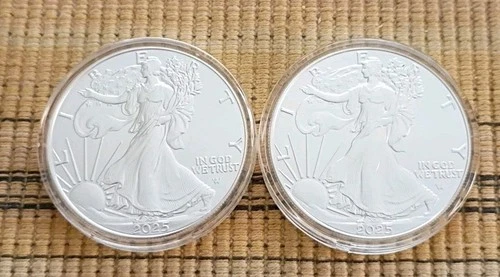 2-2025 American Silver Eagle 1 oz .999 Fine Silver Coins