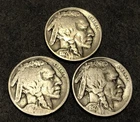 1927-P D S Buffalo 5C Nickel Lot G-VG Lot B