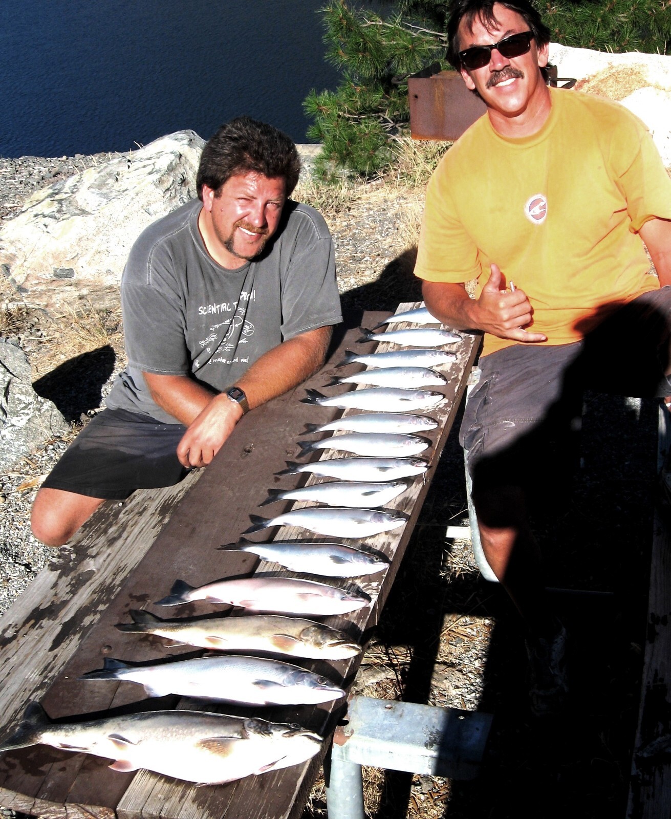 Kokanee Spoons (2) "UV FIREBALL” eBay