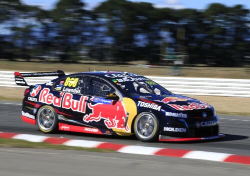 Craig Lowndes 2015 6x4 or 8x12 photos V8 Supercars Red Bull Racing Australia  - Picture 1 of 1