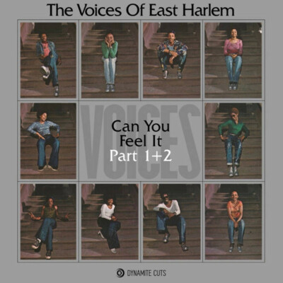 NEW 7'' VOICES OF EAST HARLEM - Can You Feel It Pt 1 / Pt 2  on DYNAM7107