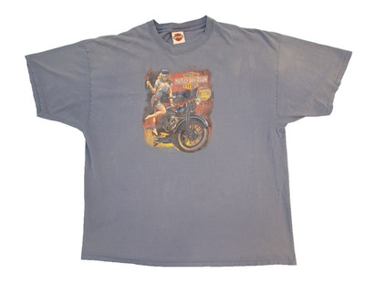 Vintage Y2K Harley Davidson Steel Horse Midlothian VA 3XL Blue Graphic T Shirt