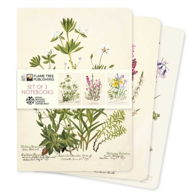 Royal Botanic Gardens Edinburgh Set of 3 Standard Notebooks - Image 2