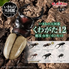 PSL The Diversity of Life on Earth Stag Beetle 12 w/ Stand Online version Bandai