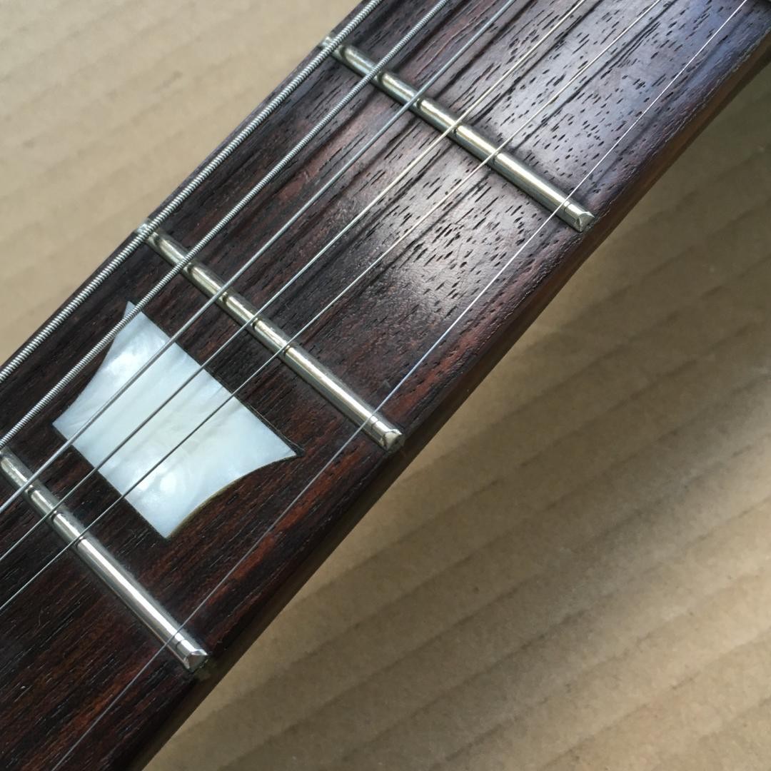 バーニーRLG-75JP Burny Lg-75Jp Rlg 85Jpc Joe Perry Model | eBay