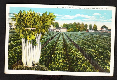 #ad CELERY FIELDS quot;THE CELERY CITYquot; KALAMAZOO MICH. 1929 postcard $1.77