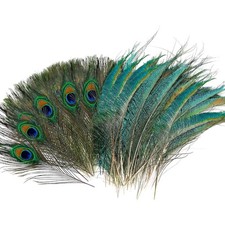 Pfauenfedern 40 Stück Natur Federn Deko Basteln Party Masken Hochzeit