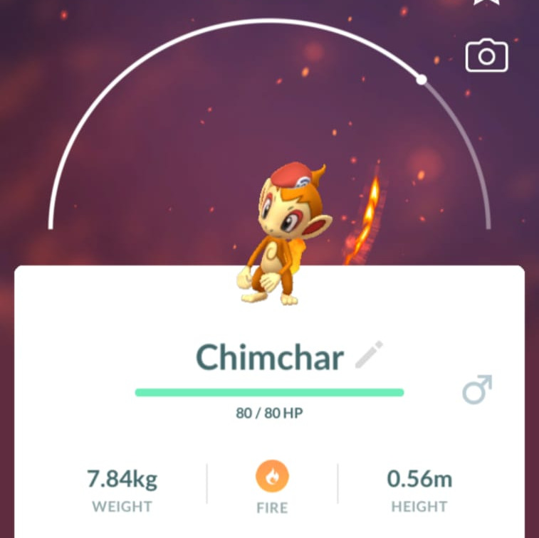 Pokémon Go - Hora do Holofote Novembro 2021 - Cacnea, Chinchou, Turtwig,  Chimchar, Piplup