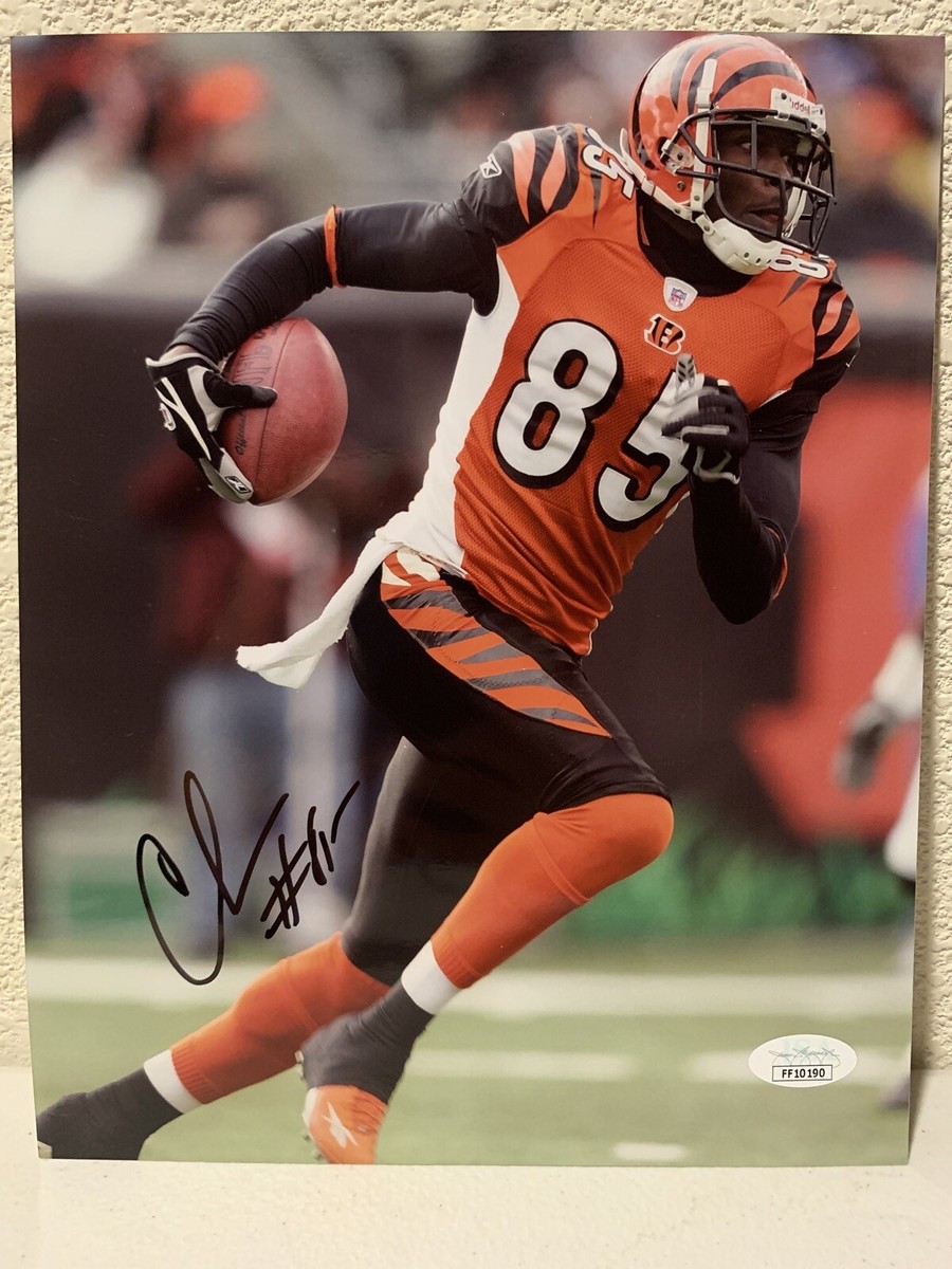 Chad Johnson Signed Cincinnati Bengals 8x10 Photo JSA | eBay