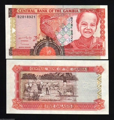 GAMBIA 5 DALASI P-16 A 1996 X 100 PCS LOT Full BUNDLE BIRD CATTLE COW BANK NOTE - Picture 3 of 3