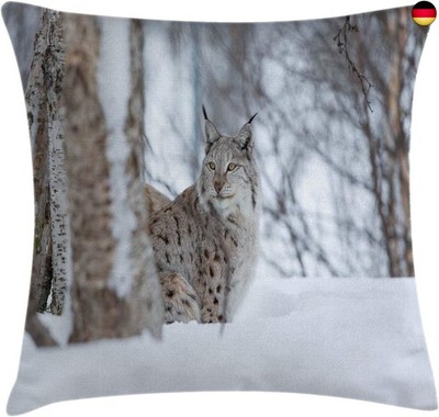 ABAKUHAUS Tier Kissenbezug, Europäische Luchs Wildnis, Wasser und Schmutz