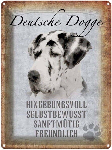 Blechschild 40X30 Cm Deutsche Dogge Hund Deko Geschenk Metall Schild-image