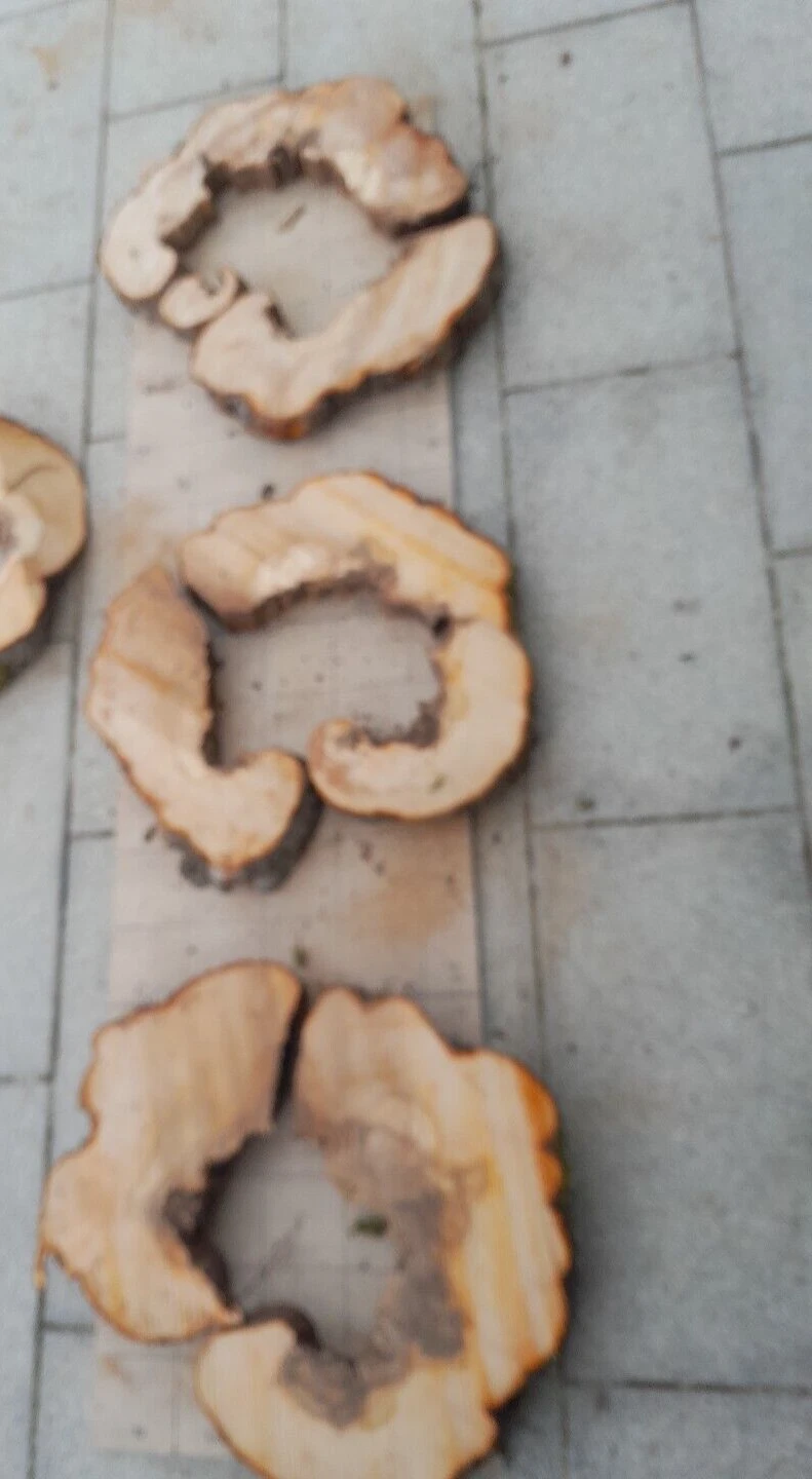 Bild 5 von 8