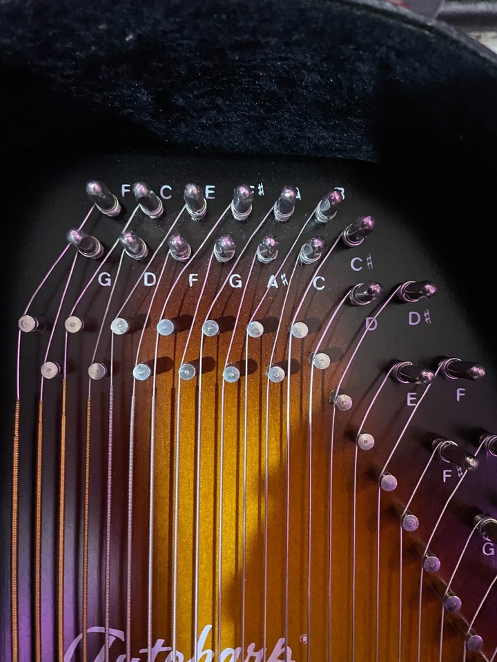Oscar Schmidt Autoharp eBay