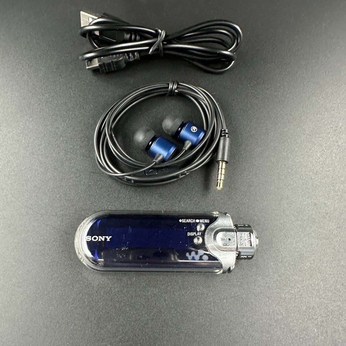 SONY NW-E405 Net Work Walkman 512 MB Blue Fully Tested Working | eBay