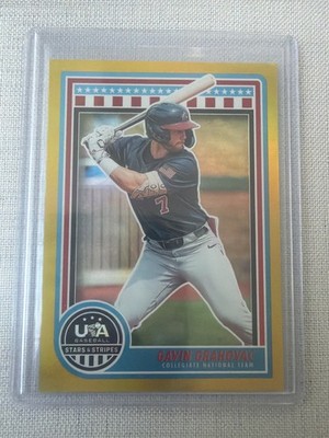 GAVIN Grahovac 2025 Panini USA Baseball Stars & Stripes GOLD SSP #'d /10 RC