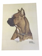 1940's Vintage Large Print Boxer Dog By Gladys Emerson Cook  12" x 16"