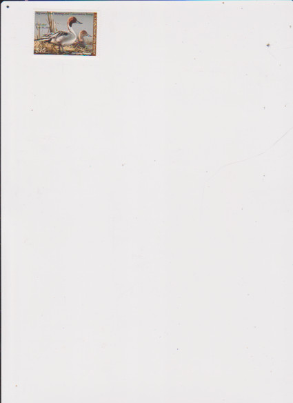2008 Federal Duck Stamp, Northern Pintail Ducks, Scott #RW75   mint