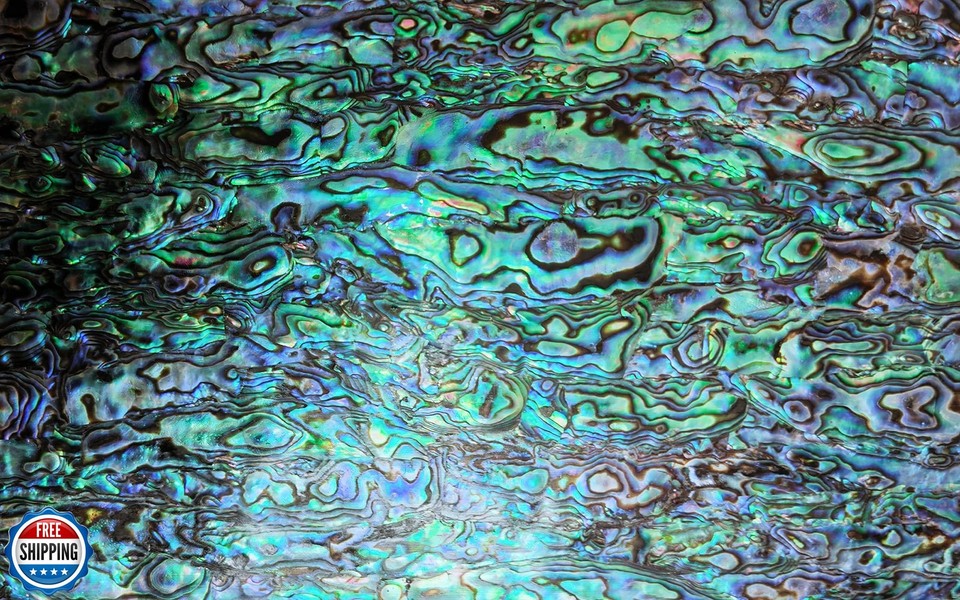 GOMMO Blue Paua Shell Veneer Sheet Enhanced for Inlay and Overlay Flat ...