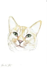 ACEO Original Watercolor Painting 2.5"x3.5" Orange Tabby Kitty Cat Pet Portrait