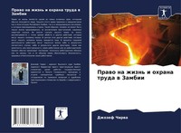 Dzhozef Chirwa | Prawo Na Zhizn' I Ohrana Truda W Zambii | Taschenbuch (2021)