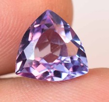  on The Hot Collector