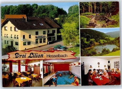 51441383 - 6121 Hesselbach Guest House Pension Three Lilien Swimming Pool