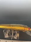 Vintage Bomber Deep Long A Fishing Lure  — photo 3