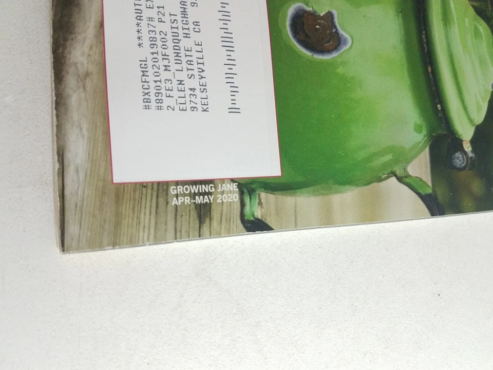 Mary Jane's Farm Magazine April May 2020 Foto 2 de 4