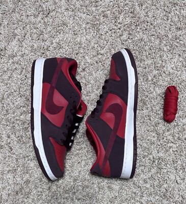 Size 11 - Nike Dunk Pro SB Low Fruity Pack - Cherry